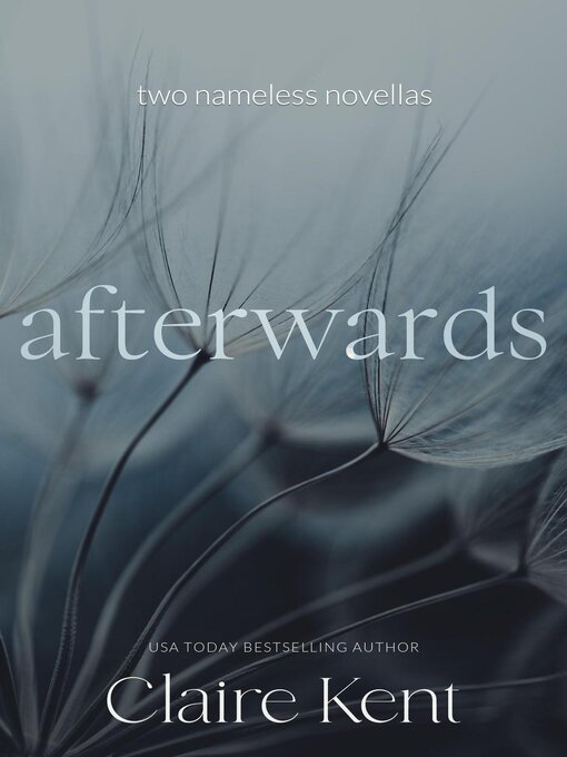 Title details for Afterwards by Claire Kent - Available